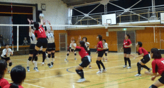 volleyball1.gif